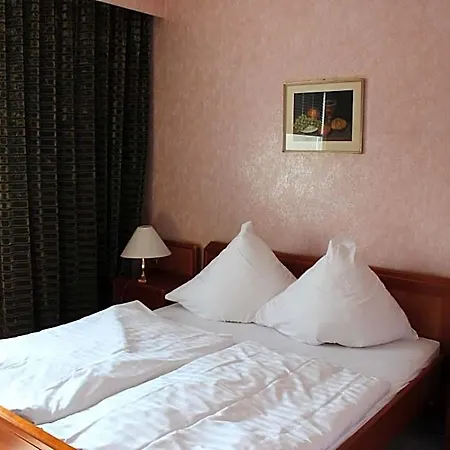 Hotel Wiking 3*